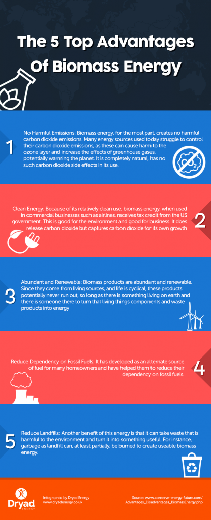 The 5 Top Advantages Of Biomass Energy Infographic | Worthy to Share