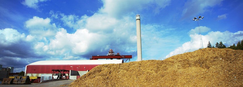 Biomass A Renewable Energy Resource Which Is Proving To Be A Boon For The World