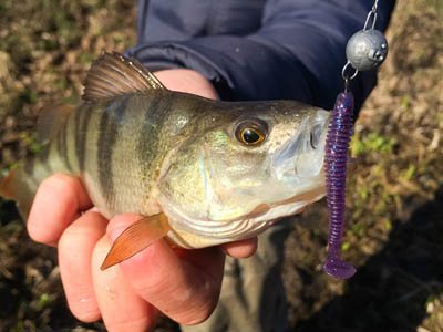 Stick Worms Are Great Fish Catching Lures
