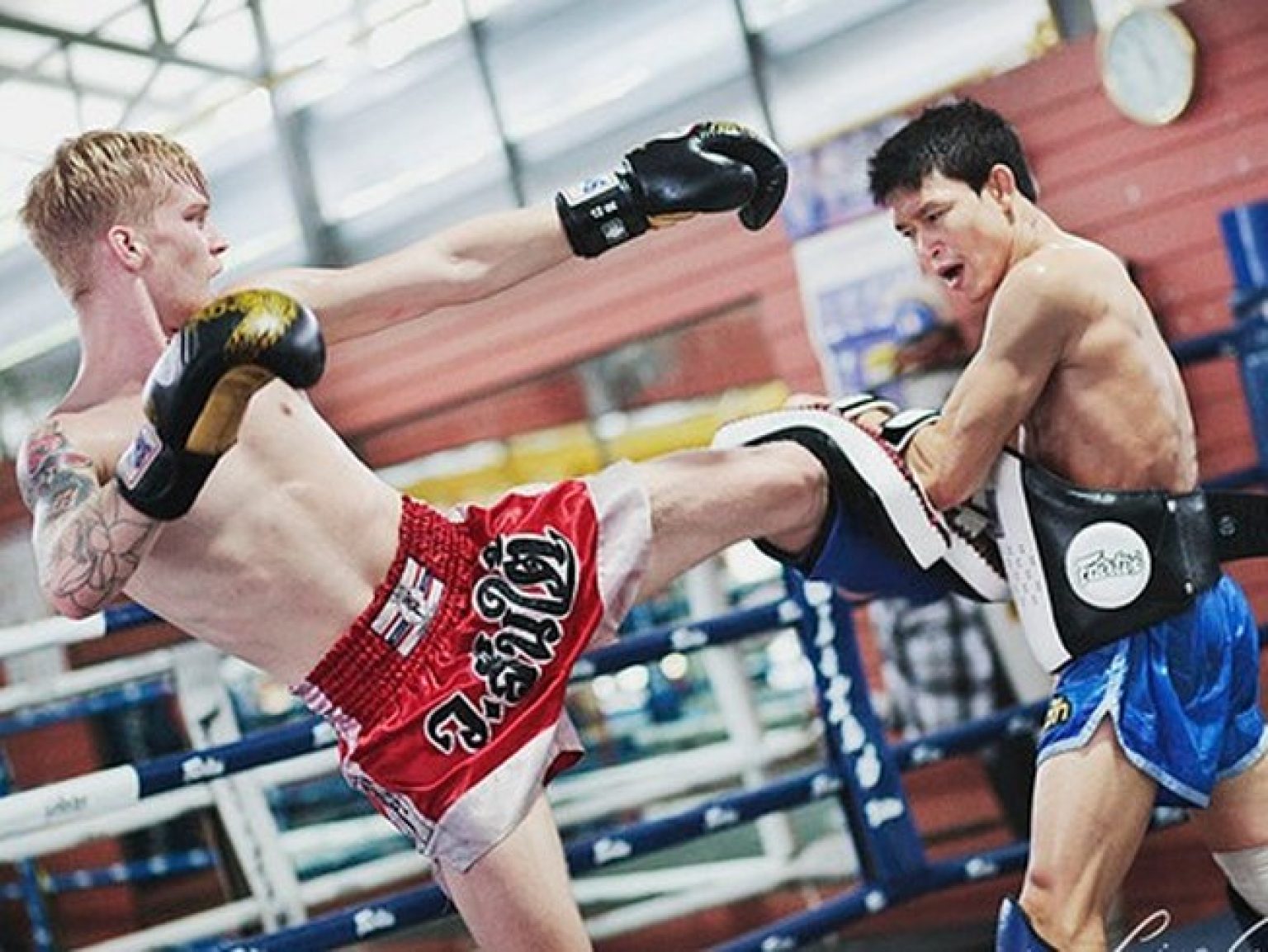 Тайский бокс взрослые