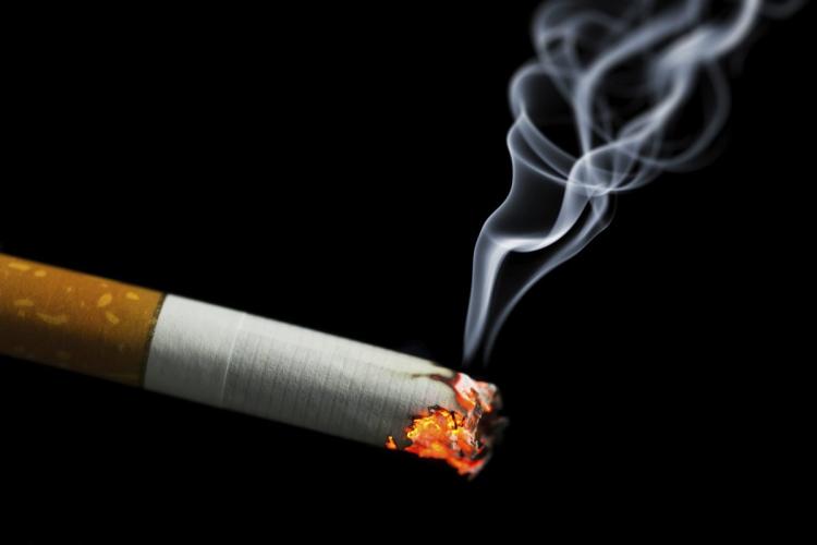 The Environmental Impact Of Smoking